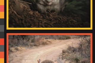 Nowe atrakcje w łódzkim zoo