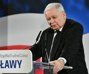 PiS przejmie Żabki? Jarosław Kaczyński wypowiedział się na ten temat