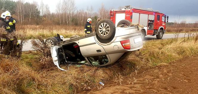  Świętokrzyskie: Stado jeleni wtargnęło na drogę. W szpitalu małe dziecko i kobieta [FOTO]