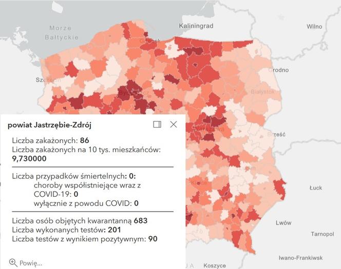 Koronawirus w województwie śląskim. Tak wygląda sytuacja w poszczególnych powiatach [RAPORT, 19 MARCA]