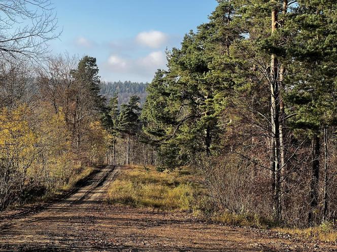  Jesień w Bieszczadach