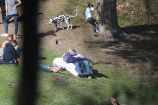 Miłość Rusin na trawie