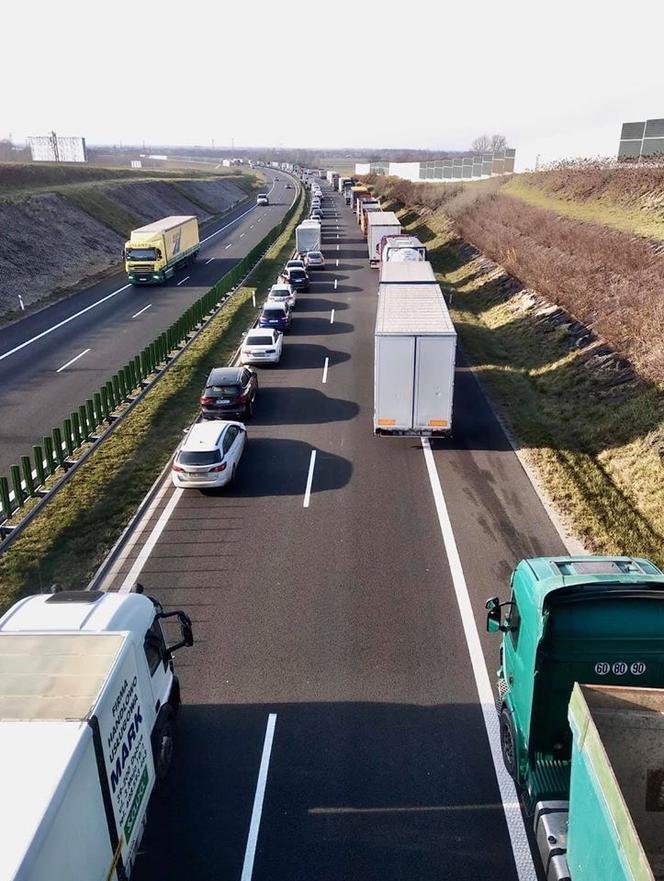 Na A4 PŁONIE ciężarówka pełna drewna! POTĘŻNE utrudnienia! [AKTUALIZACJA]