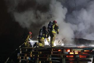 Rezerwat Dzikich Dzieci pożar