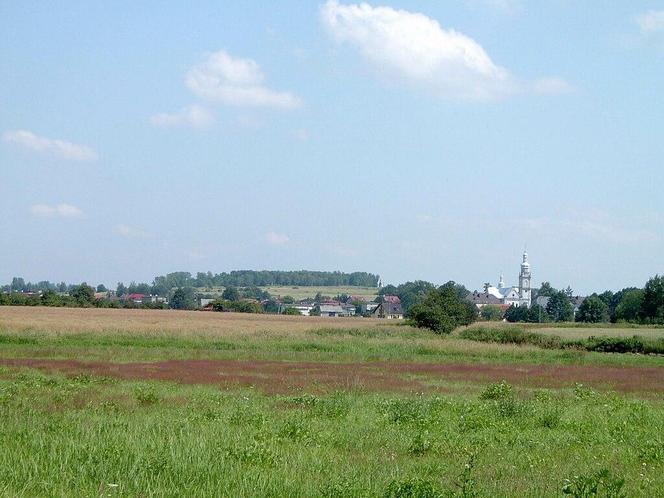 Najmniejsze bezrobocie w Polsce. Tu praca szuka człowieka! Dane mówią wszystko