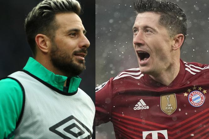 Claudio Pizarro, Robert Lewandowski