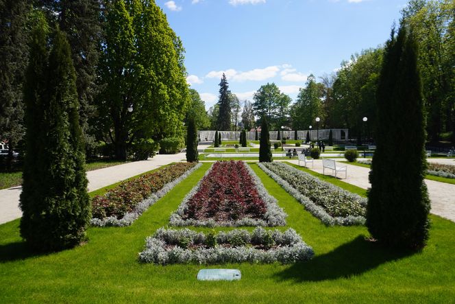 Różanka w Parku Planty po remoncie