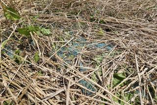 Mała. Szczepan zginął w wypadku BMW [GALERIA]