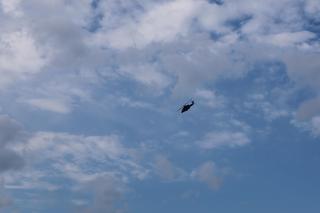 Tłumy na IV Świdnik Air Festival 2024. To było niezwykłe show! Zobaczcie zdjęcia