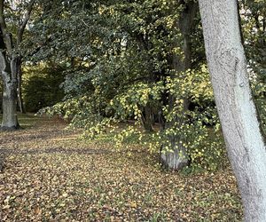 Jesień w Polsce 2025