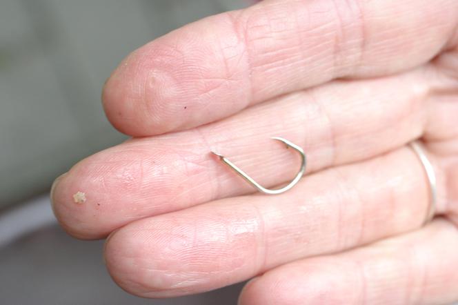 Psychopata morduje psy