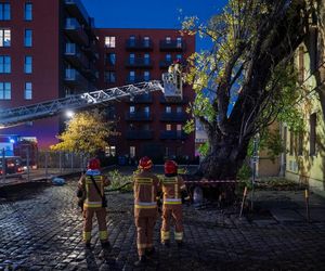 Polska pod naporem wichur! Strażacy nie mieli chwili wytchnienia