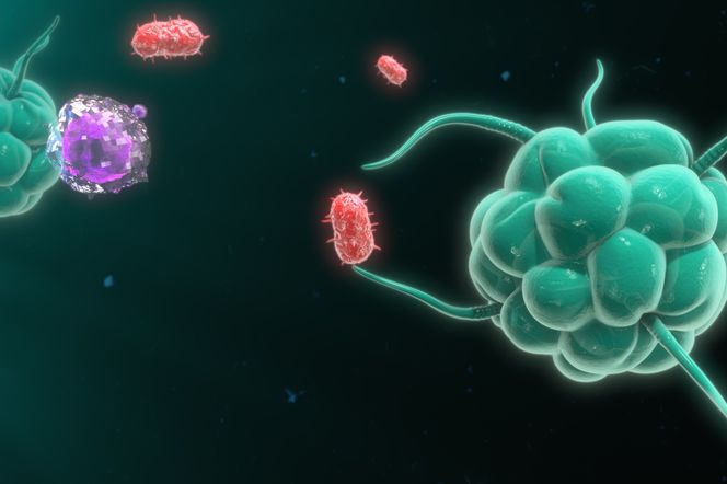 Immunolog. Czym zajmuje się immunologia?