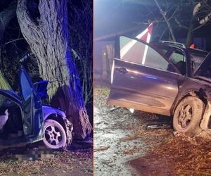 Auto roztrzaskało się na drzewie. Ukrainka zginęła na miejscu