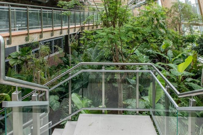 Pawilon lasu deszczowego w Śląskim Ogrodzie Zoologicznym w Chorzowie
