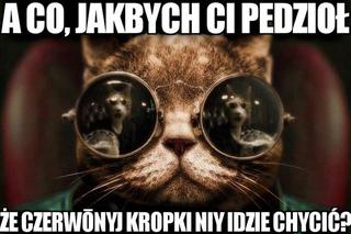 Kropki niy idzie chycić