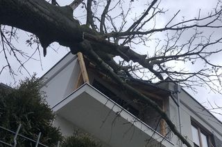 Drzewo spadło na dom Andrzeja Dudy 