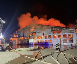 Ogromny pożar fermy drobiu w Fałkowicach. W ogniu mogło zginąć nawet 130 tysięcy kur