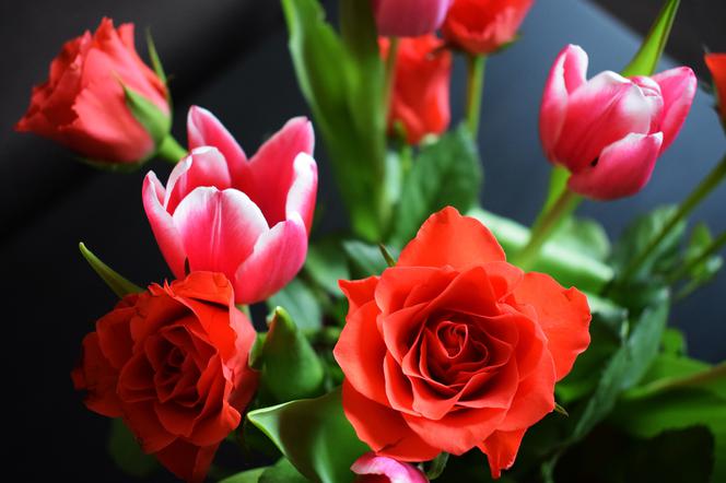 Życzenia imieninowe dla Zofii. Wierszyki i sms-y idealne na tę okazję