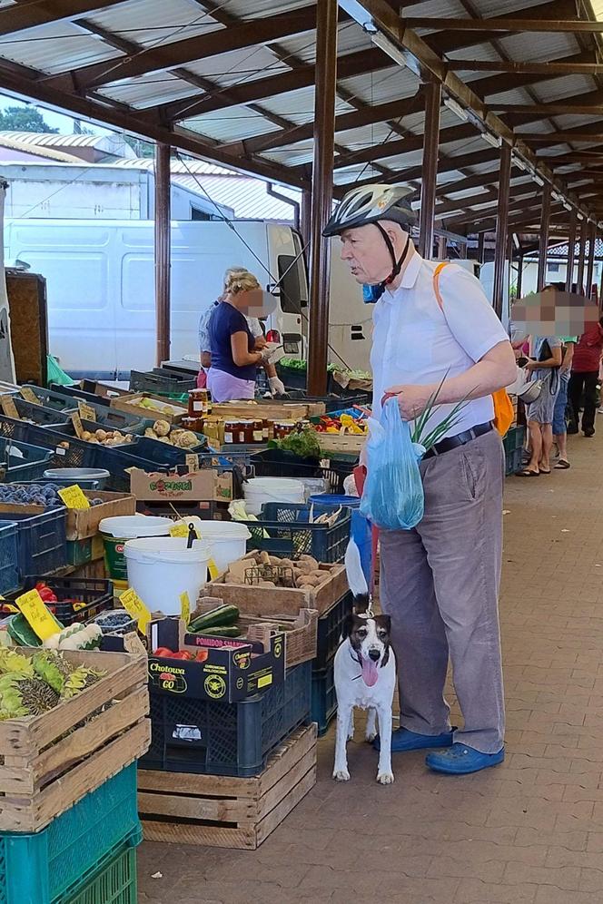 Korwin-Mikke na zakupach