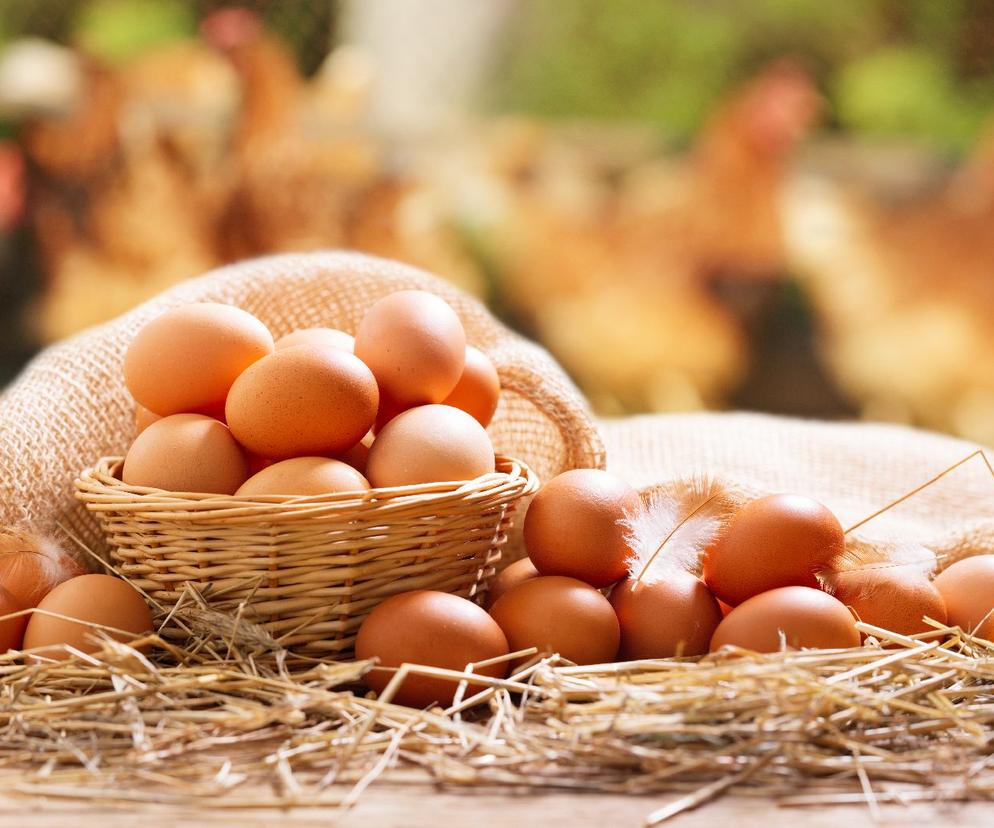 Prawdopodobne podwyżki cen jaj. Dlaczego jajka mogą zdrożeć?