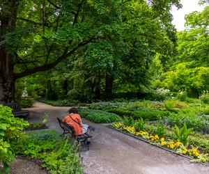 7 najładniejszych ogrodów botanicznych w Polsce. Kiedy je odwiedzić i gdzie są?