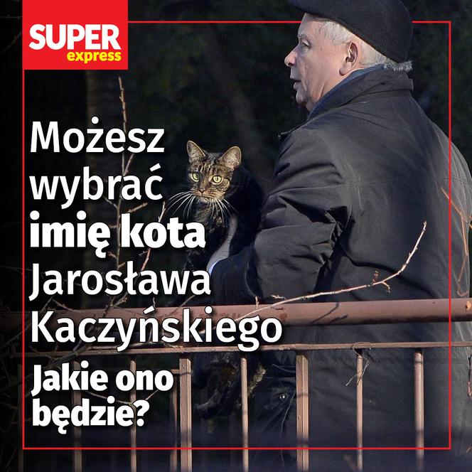 Możesz wybrać imię kota Jarosława Kaczyńskiego  Jakie ono będzie?