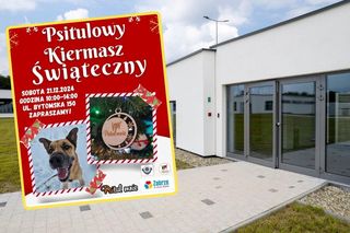 Schronisko Psitulmnie zaprasza na Świąteczny Kiermasz