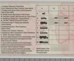Fałszywe prawo jazdy na granicy