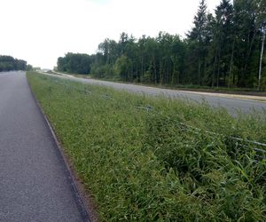Fragmenty obwodnicy Bielska Podlaskiego