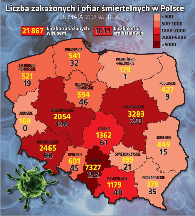 Koronawirus w Polsce. Zobacz wykresy – stan na 26.05.2020, godz. 10:00