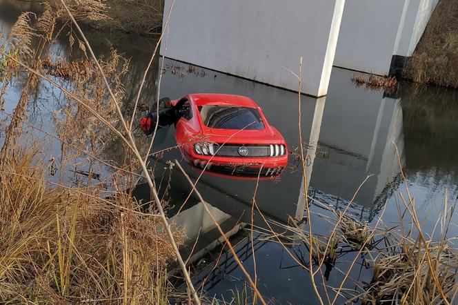 Ford Mustang utopiony w Dąbrowie Górniczej 