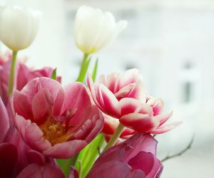 Życzenia imieninowe dla Doroty. Dzięki nim wyrazisz, jak ważną jest dla ciebie osobą