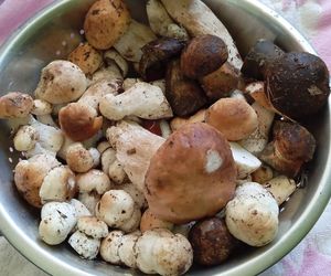 Gdzie na grzyby? Kielczanie uwielbiają to miejsce!