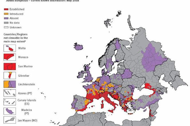 Mapa występowania komara tygrysiego w Europie