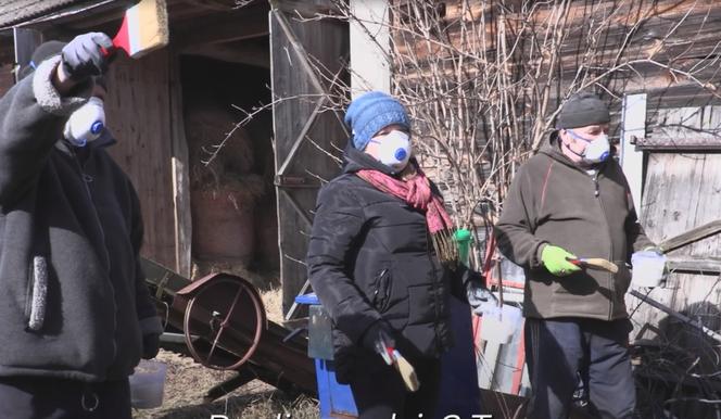 Rolnicy. Podlasie. Gienek i Sławek bielą drzewka. "Idzie jak krew z nosa"