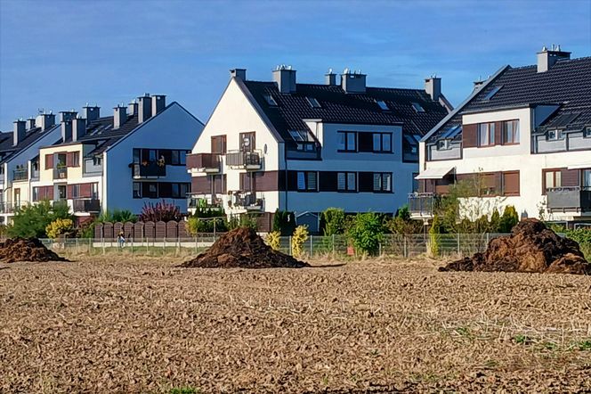 "Śmierdzący" problem na osiedlu. Mieszkańcy mają hałdy obornika pod oknami