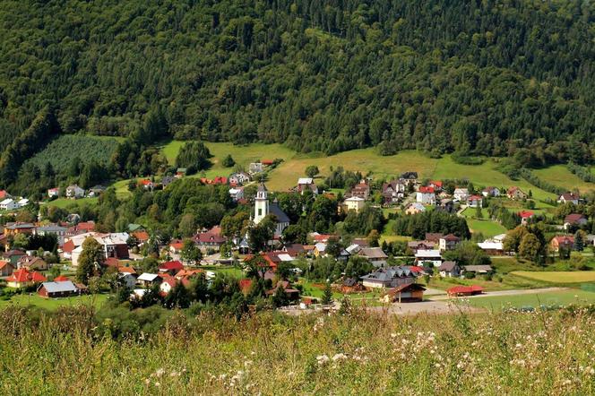 Małopolska zyska cztery nowe rezerwaty: Markowiec-Gródek, Kozie Żebro, Góra Chełm i Cisy w Wyskitnej