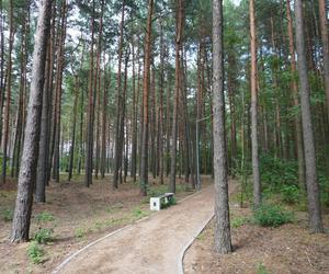 Podlaska Atlantyda, czyli Zalew Siemianówka i okolice