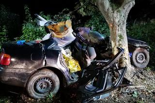 Tragiczny wypadek pod Braniewem. Audi wbiło się w drzewo. Nie żyje 19-latek