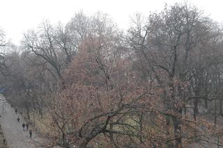 Smog spowija Małopolskę. Zła jakość powietrza nie tylko w Krakowie