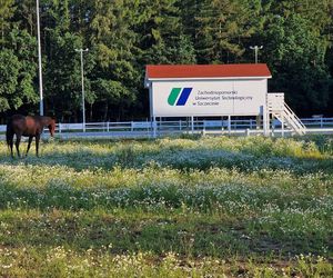 ​Jak co roku Zachodniopomorski Uniwersytet Technologiczny organizuje „DZIEŃ DZIECKA W STAJNI”