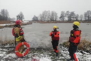 Braniewscy strażacy ostrzegają: lód jest kruchy!
