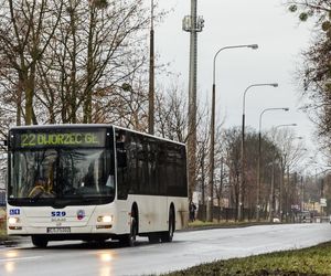 W Toruniu rusza nowa linia autobusowa. Jej numer jest symboliczny