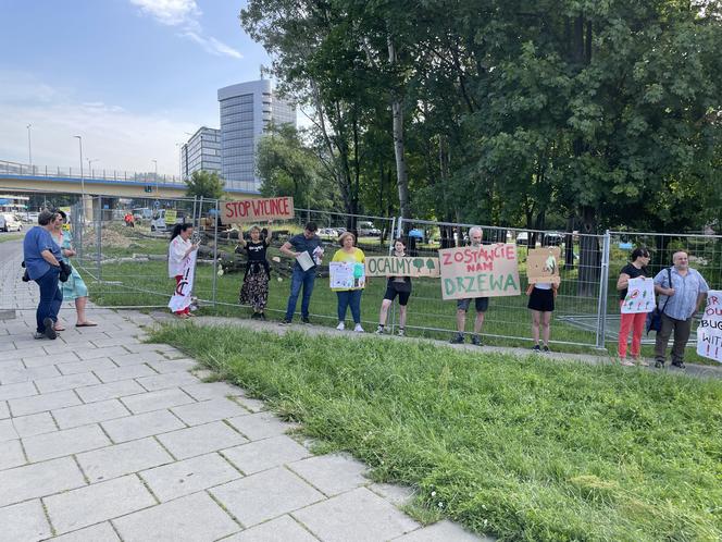Linia tramwajowa do Mistrzejowic. Protest ws. wycinki drzew w Krakowie