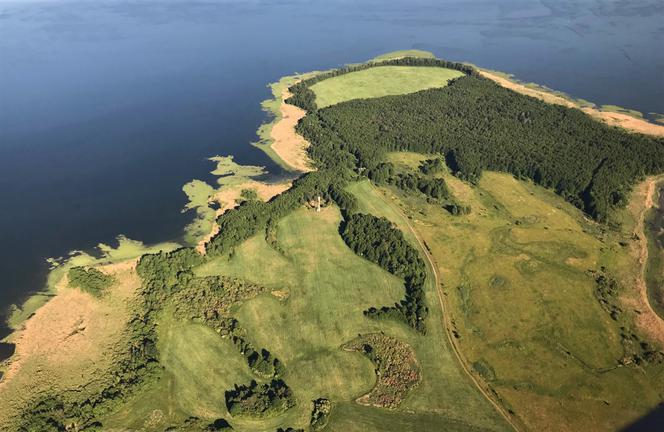 Lokaty Ziemskie: kontakt z naturą – niedoceniane lekarstwo