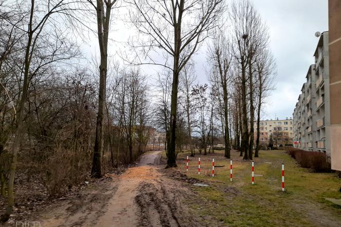 Park powstanie wzdłuż al. Praw Kobiet na poznańskich Naramowicach