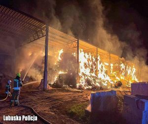  Strażak podpalaczem. 27-latek z zarzutami i aresztem