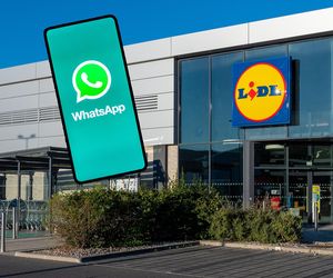 Lidl wkracza na WhatsApp. Gazetki promocyjne na wyciągnięcie ręki!