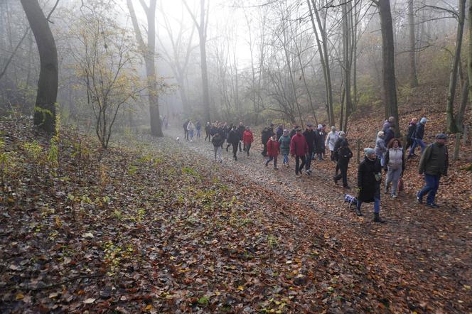 Byliśmy na Górze Czarownic w Fordonie. Na stosach spłonęły tu przynajmniej 72 kobiety [ZDJĘCIA]